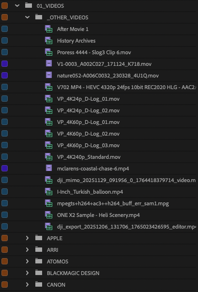 No camera Make/Model in the file: it goes to _OTHER_VIDEOS, not a guessed brand.