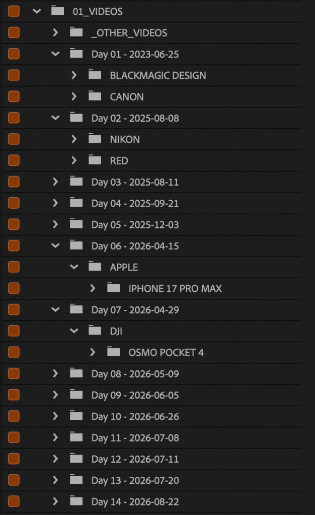 The full day tree: one bin per shoot date, two cameras on Day 01 and Day 02.