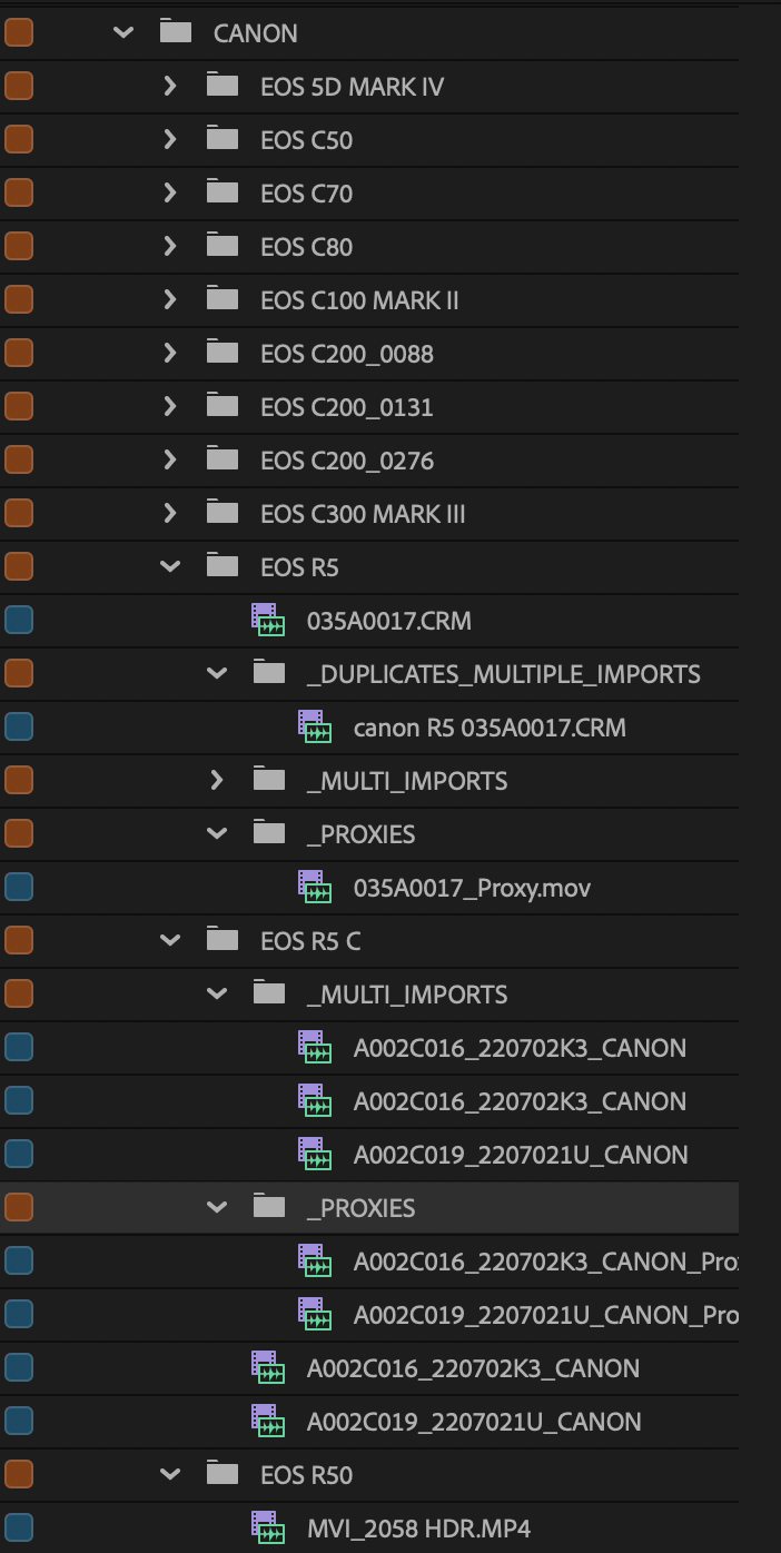 Linked proxies stay next to their master. Duplicates and extra imports are isolated beside it.