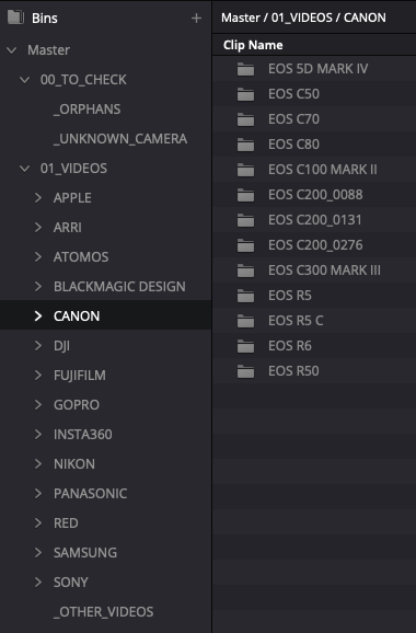 DaVinci Resolve Media Pool: Canon models under 01_VIDEOS, including C200 serial-split bins.